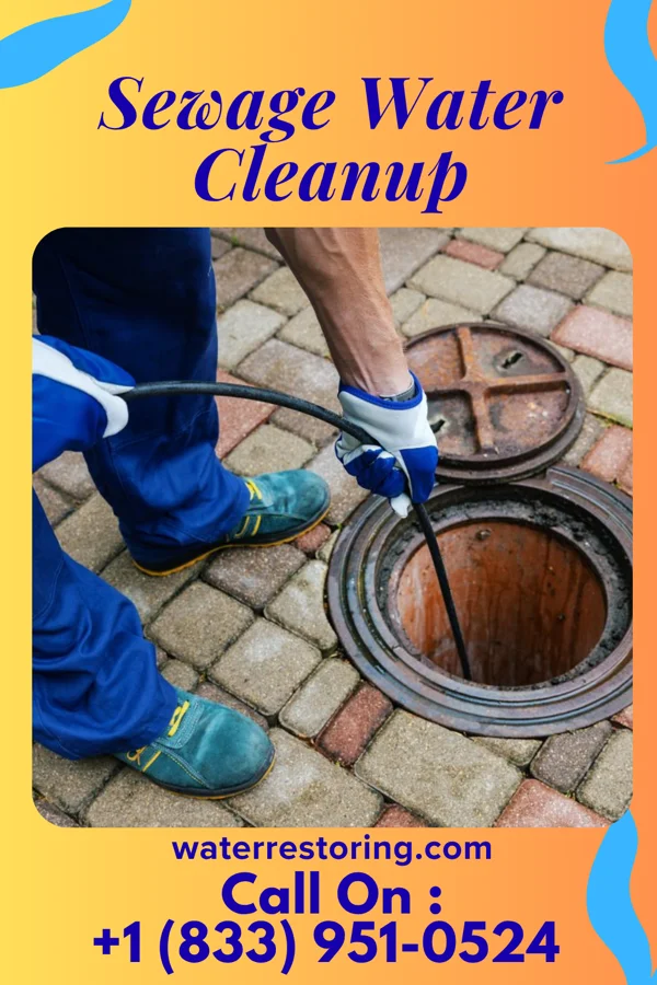 Sewage Water Cleanup in Mendon, MO