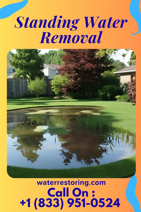 Standing Water Removal in Mendon, MO